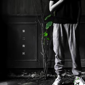 沈阳40岁熟妇高潮出白浆
