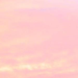 沈阳40岁熟妇高潮出白浆
