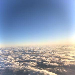 沈阳40岁熟妇高潮出白浆
